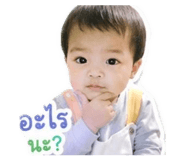 852811091