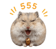 852811498