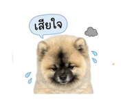 852816750