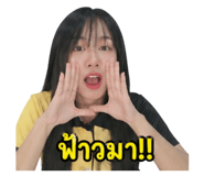 852817524
