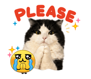 852824736