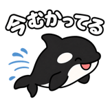 852829367