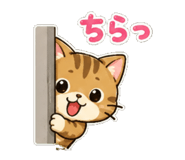 852829624