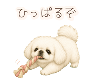 852830165