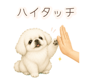 852830168