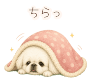 852830172