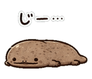 852830303