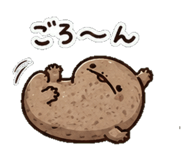 852830304