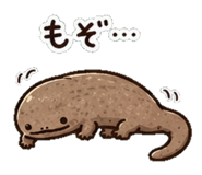 852830307
