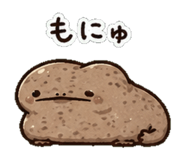 852830311