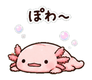 852830913