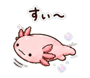 852830915