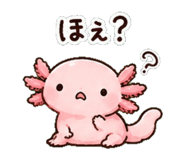 852830917