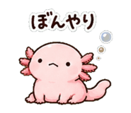 852830922