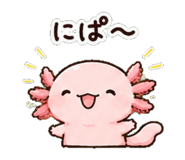 852830923