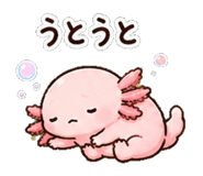 852830924