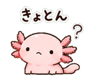 852830925