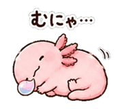 852830926