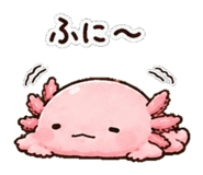 852830927
