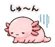 852830929