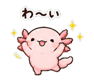 852830932