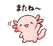 852830936