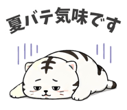 852831155