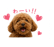 852831332