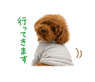 852831333