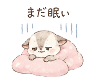 852831355