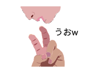 852832162