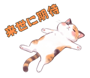 852832362
