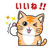 852833397