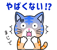 852833405