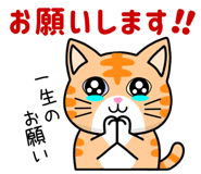 852833414