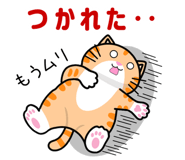 852833416