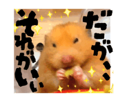852834209