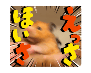 852834212