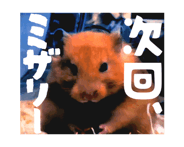 852834215