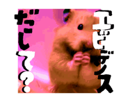 852834216
