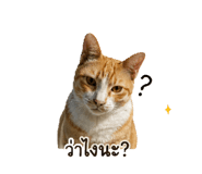 852836820