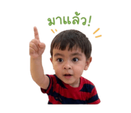 852844006