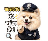 852847242