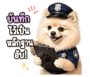 852847248