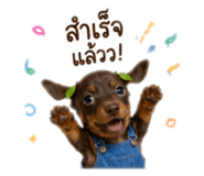 852850931