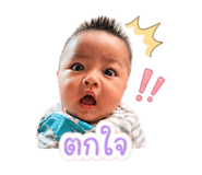 852851647