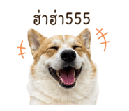 852854366
