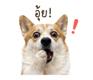 852854368