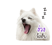 852855670