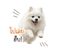 852855689
